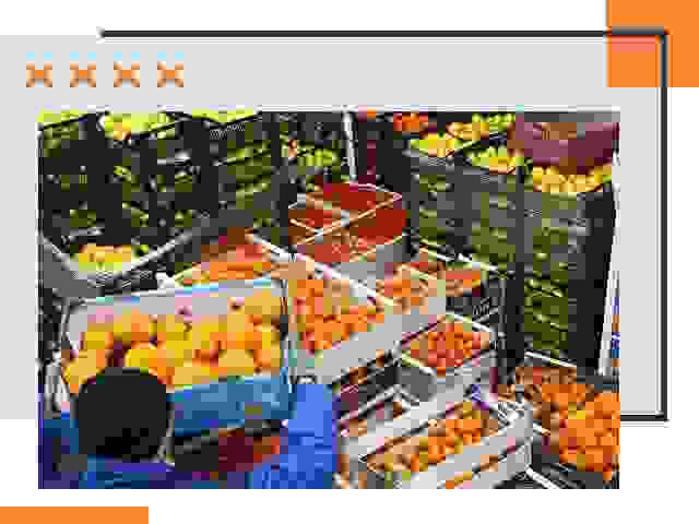 Перевозка скоропортящихся продуктов в Ачинске
